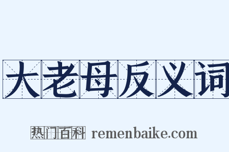 大老母反义词是什么意思的图片